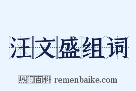 汪文盛组词是什么意思的图片